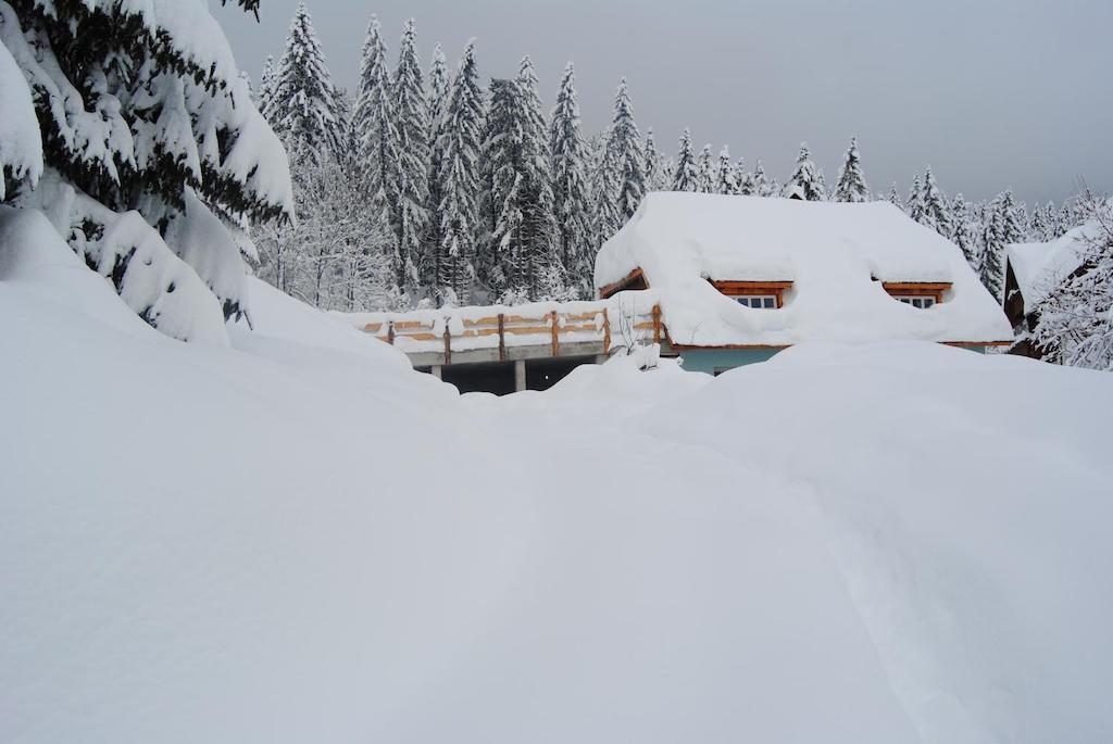 La Lince Lodge Camporosso  Exteriör bild